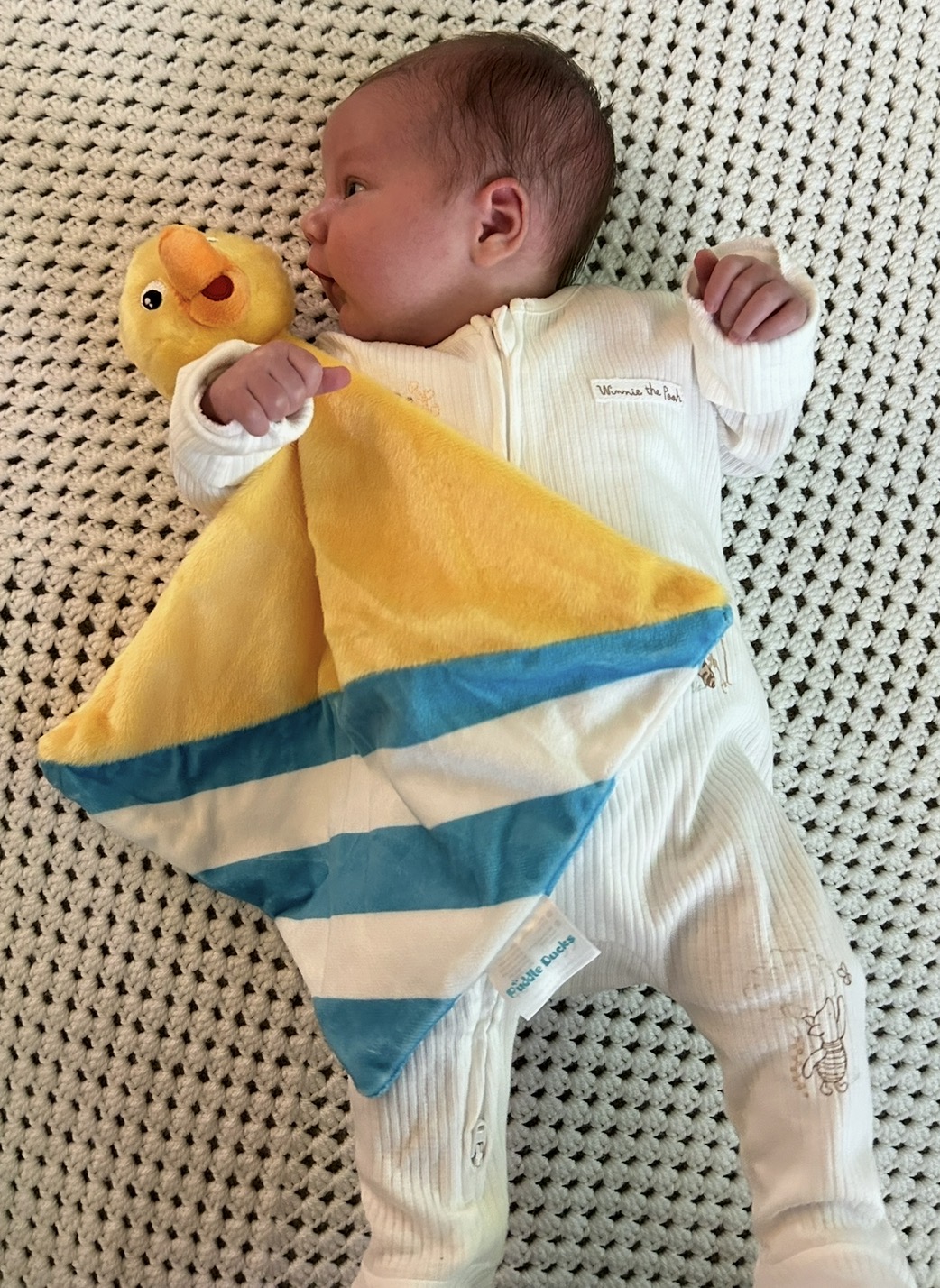 Puddle's Cuddle Pack